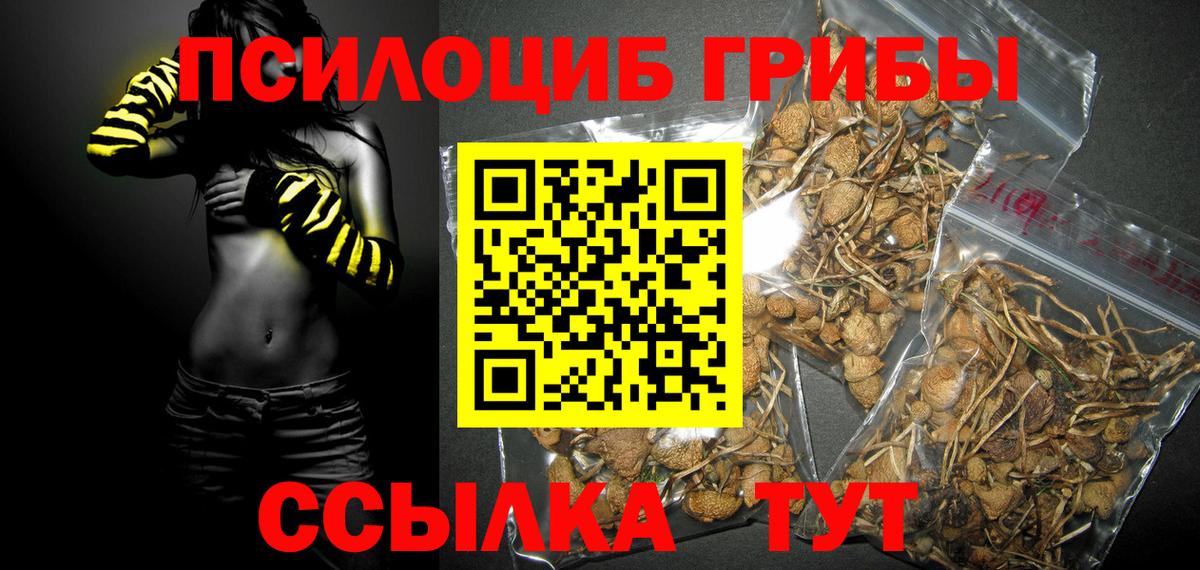 купить закладку  Вход с VPN  Уварово  Псилоцибиновые грибы ЛСД 